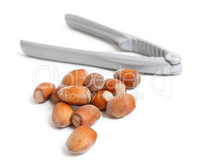 Hazelnut and nutcracker