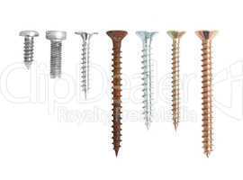 Screws isolated on white