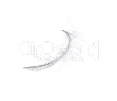 Feather