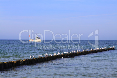 Am Ostseestrand von Prerow