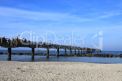 Möwen am Strand von Wustrow