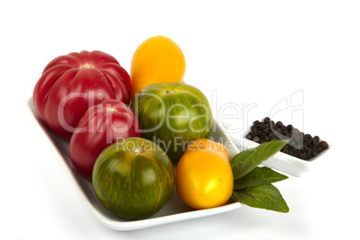 Schale mit frischen Bio Tomaten - Bowl of fresh organic tomatoes