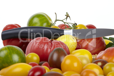 Viele bunte Bio-Tomaten als Ausschnitt