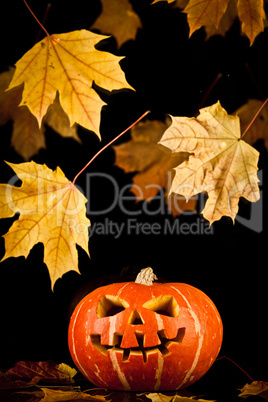 halloween, old jack-o-lantern on black