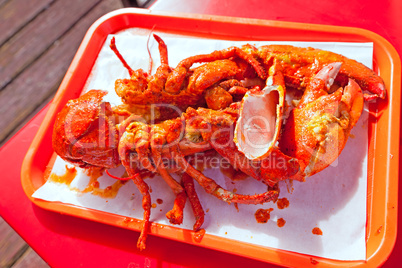 Grilled large lobster in mexican restaurant