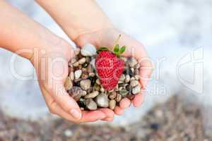 Red ripe strawberry and stones on woman hands