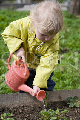little gardener