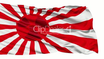 Realistic 3D detailed slow motion japan radiation flag in the wind