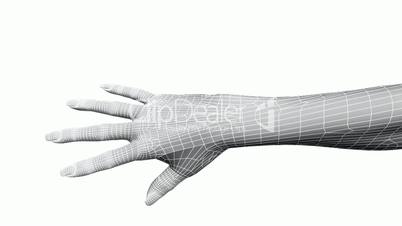 Rotation of 3D hand.human,finger,symbol,thumb,people,Grid,mesh,sketch,structure,