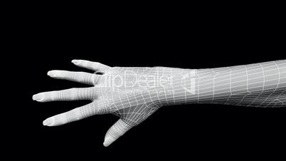 Rotation of 3D hand.human,finger,symbol,thumb,people,Grid,mesh,sketch,structure,
