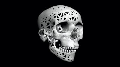 Rotation of 3D Skull.bone,death,skeleton,illustration,design,dead,Grid,mesh,sketch,structure,