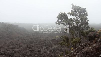 Desolate Lava Rock Landscape 1