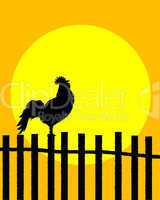 Rooster on the fence