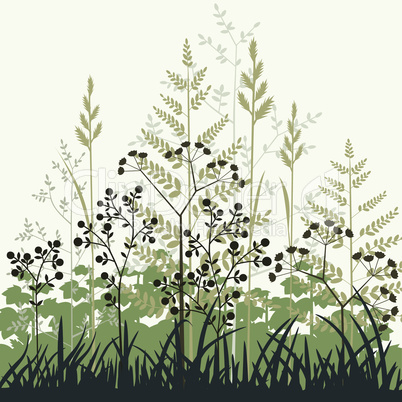 Plants and grasses background