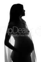 pregnant woman silhouette