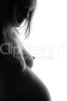 pregnant woman silhouette