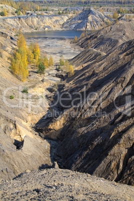 sand canyon with yellow autumn birches