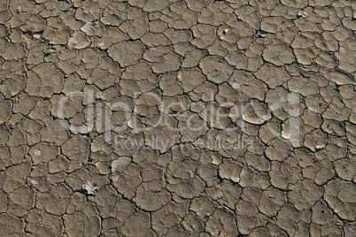 dry soil with crack
