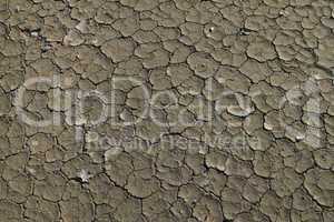dry soil with crack