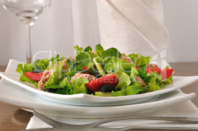 Salad with tuna, vegetables and mint close up