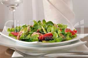 Salad with tuna, vegetables and mint close up