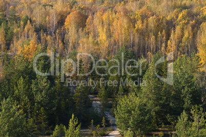 autumn landscape