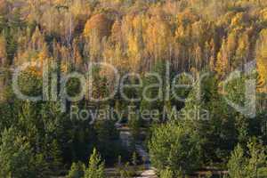 autumn landscape