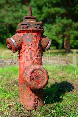 Nostalgischer Hydrant in der Natur