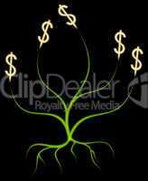 Money Tree.