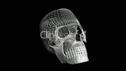 Rotation of 3D Skull.bone,death,skeleton,illustration,design,dead,Grid,mesh,sketch,structure,