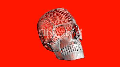 Rotation of 3D Skull.bone,death,skeleton,illustration,design,dead,Grid,mesh,sketch,structure,