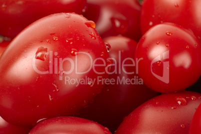 Rote Tomaten mit Wassertropfen als Nahaufnahme - Red tomatoes with water drops as a close-up