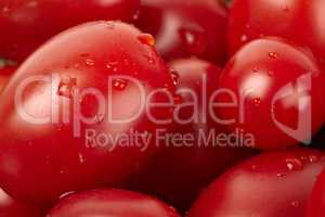 Rote Tomaten mit Wassertropfen als Nahaufnahme - Red tomatoes with water drops as a close-up