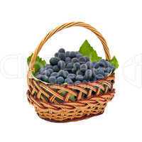 wicker basket with brushes of dark grapes