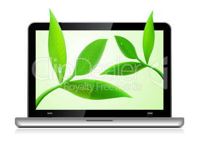 Laptop with leaves on white background