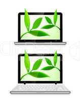 Laptop with leaves on white background