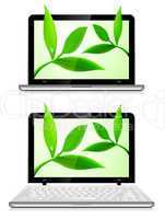 Laptop with leaves on white background