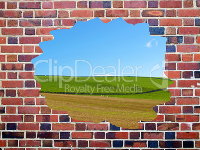 Freedom