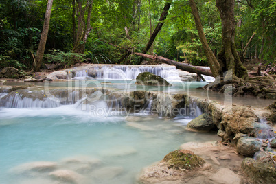 Stream in the Tropical Forest