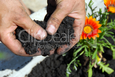 Black soil