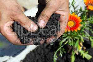 Black soil
