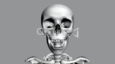 Moving of 3D skeleton.skull,anatomy,human,medical,body,biology,medicine,science,bone,