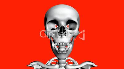 Moving of 3D skeleton.skull,anatomy,human,medical,body,biology,medicine,science,bone,