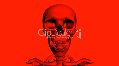 Moving of 3D skeleton.skull,anatomy,human,medical,body,biology,medicine,science,bone,