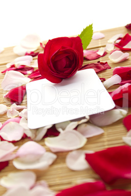 Card and roses