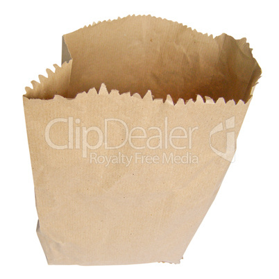 Paper bag shopper