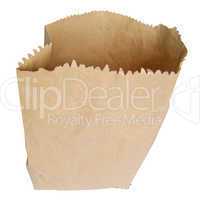 Paper bag shopper