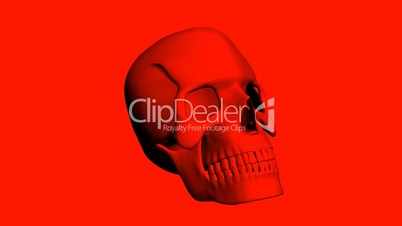 Rotation of 3D Skull.bone,death,skeleton,illustration,design,dead,