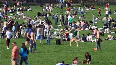 Crowded Park