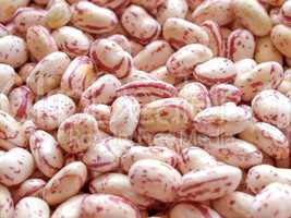 Beans salad